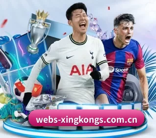 webs-xingkongs.com.cn APP 界面